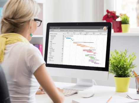 Professional working at a large monitor with a programme timeline in view, representing disciplined schedule and portfolio tracking.